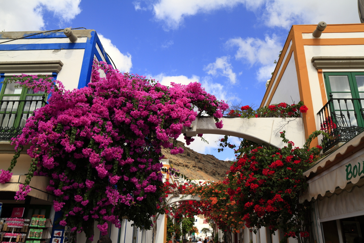 10.29 Gran Canaria  MG 1534